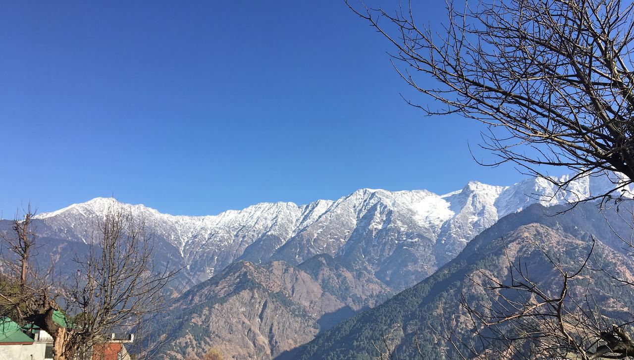 Ess & Bee Resorts Dharamshala Esterno foto