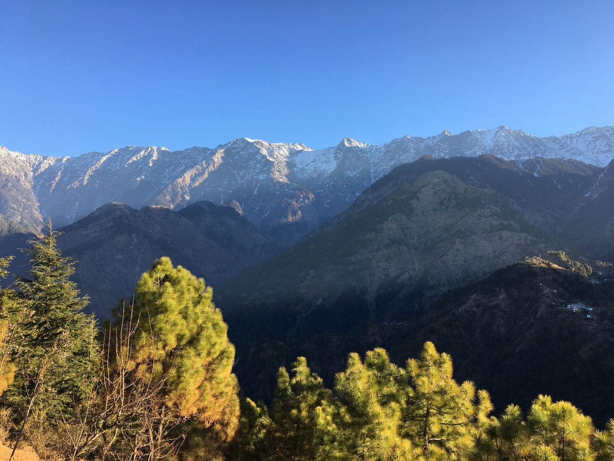 Ess & Bee Resorts Dharamshala Esterno foto